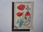 Stamps : Europe : Czechoslovakia :  Flora.