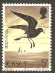 Sellos de Europa - Isla de Jersey -  118 - Petrel de las tempestades