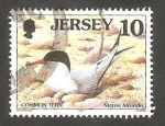 Stamps Europe - Jersey -  760 - Sterna hirundo