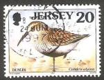 Stamps Europe - Jersey -  762 - Ave
