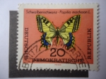 Stamps Germany -  Fauna: Mariposa.