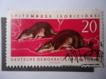 Sellos de Europa - Alemania -  Spitzmause (Soricidae)