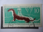 Stamps Germany -  Mauswiesel (Mustela Nivalis)