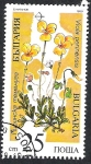 Stamps Bulgaria -  viola perinensis