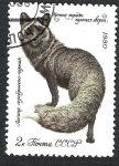 Stamps : Europe : Russia :  zorro