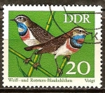 Sellos de Europa - Alemania -   Conservación, pájaros cantores, blanco y rojo de la estrella pechiazul(DDR)