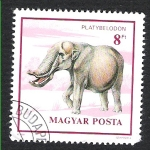 Stamps : Europe : Hungary :  platybelodon