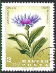 Stamps Hungary -  centaurea