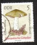 Stamps : Europe : Germany :  Hongos Eeuropeos