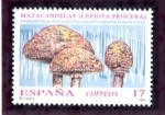Stamps Spain -  varios