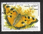 Stamps Afghanistan -  Mariposas