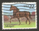 Sellos de America - Estados Unidos -  1601 - caballo morgan de raza americana