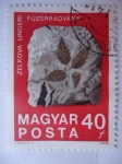 Stamps Hungary -  Hojas petrificadas en Roca Sólida - Piedra evolutiva.