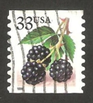 Stamps United States -  2876 a - fruta, frambuesas
