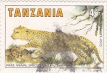 Stamps Tanzania -  leopardo