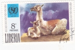 Stamps Liberia -  Llamas