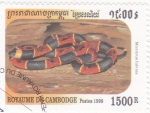 Stamps : Asia : Cambodia :  serpiente de coral oriental