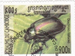 Sellos de Asia - Camboya -  cucaracha