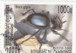 Stamps : Asia : Cambodia :  insecto-