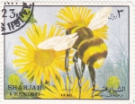 Stamps United Arab Emirates -  insecto- abeja
