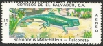 Stamps America - El Salvador -  Talconete (1251)