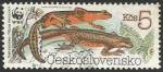 Stamps Czechoslovakia -  Triturus montandoni (3007)