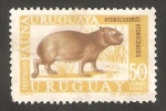 Stamps Uruguay -  362 - Carpincho, fauna uruguaya
