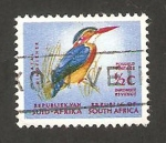 Stamps South Africa -  248 - Pajaro martin pescador
