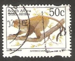 Stamps South Africa -  814 A - Cercopithecus mitis