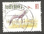 Stamps : Africa : South_Africa :  994 - Grus carunculatus