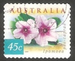 Sellos de Oceania - Australia -  1740 B - Flor