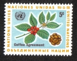 Stamps : America : ONU :  Planta de Café; New York