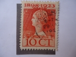 Stamps Netherlands -  1898-1923 - Reina Guillermina (1880-1962), de los países Bajos