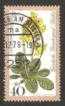Stamps Germany -  536 - flor primaveras del bosque