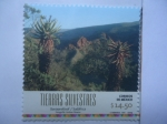 Stamps Mexico -  Tierras Silvestres - Baviaanskkloof (Sudáfrica)