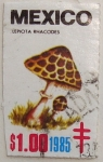 Stamps Mexico -  lepiota rhacodes