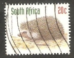 Stamps South Africa -   1013 - Atelerix frontalis