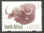 Stamps South Africa -  18 - Búfalo
