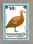 Stamps Asia - Mongolia -  Ave Tardonia ferruginea
