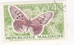 Sellos del Mundo : Africa : Madagascar : mariposa