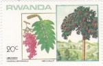 Sellos de Africa - Rwanda -  flora-hagena abysinica