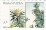 Sellos de Africa - Rwanda -  flora- dracaena 