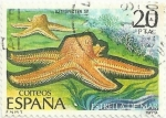 Stamps Spain -  FAUNA. INVERTEBRADOS. ESTRELLA DE MAR. Astropecten sp. EDIFIL 2534