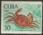 Stamps Cuba -  Carpilius coralinus (1474)