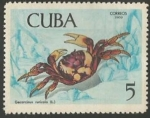Sellos de America - Cuba -  Gecarcinus ruricola (1472)
