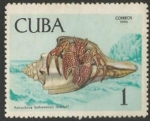Stamps Cuba -  Petrochirus bahamensis (1468)