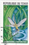 Stamps : Africa : Chad :  insecto