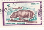 Sellos de Africa - Rep�blica del Congo -  hipopótamo
