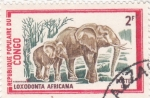 Stamps : Africa : Republic_of_the_Congo :  elefantes africanos