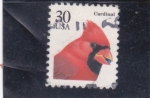 Sellos de America - Estados Unidos -  ave- cardenal